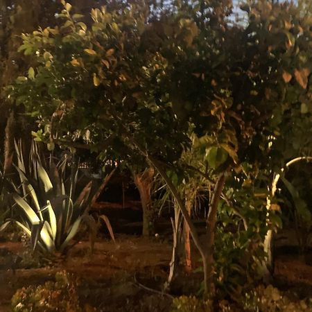 Casa Vacanze Astori Trabia Buitenkant foto