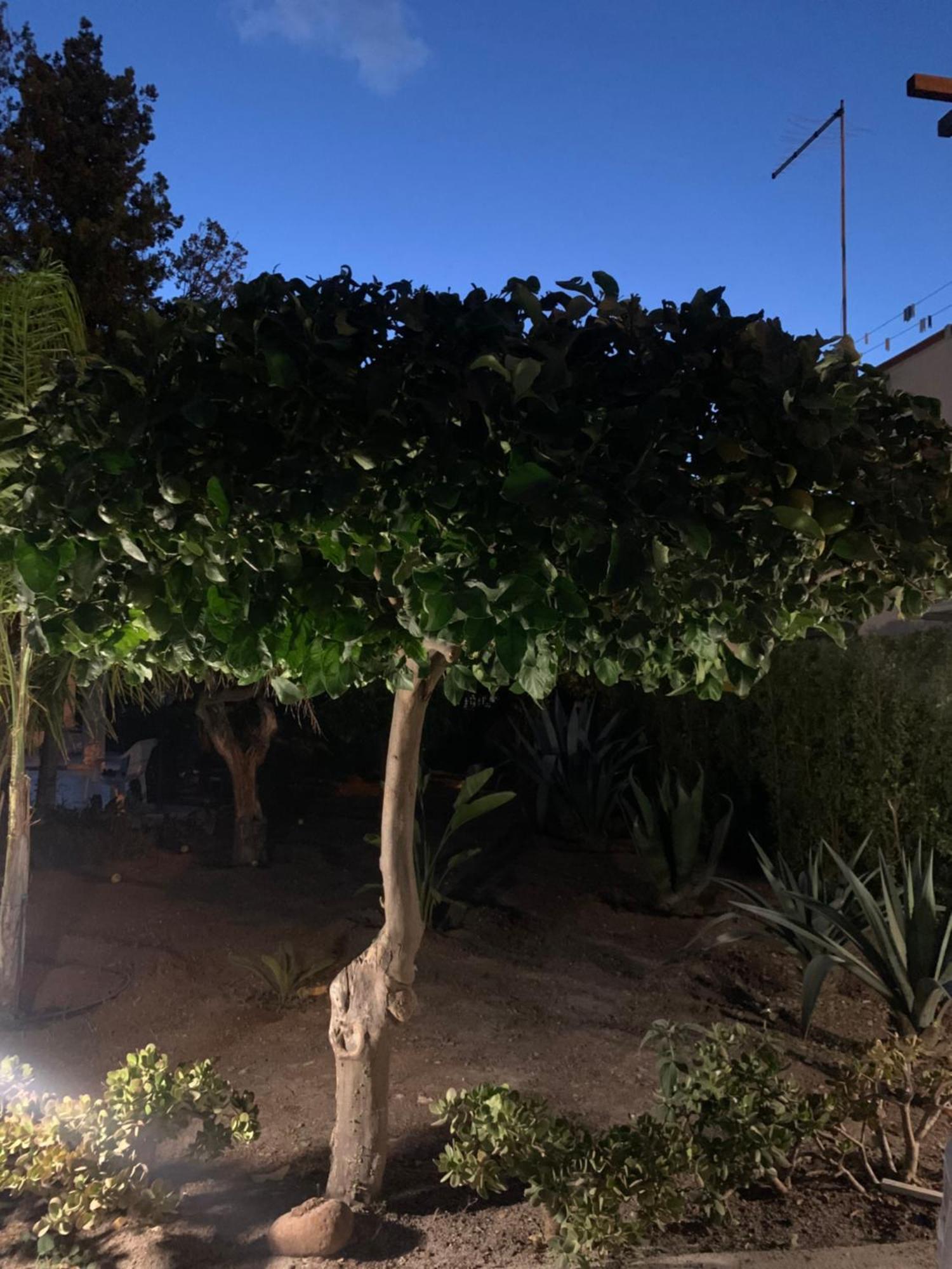 Casa Vacanze Astori Trabia Buitenkant foto