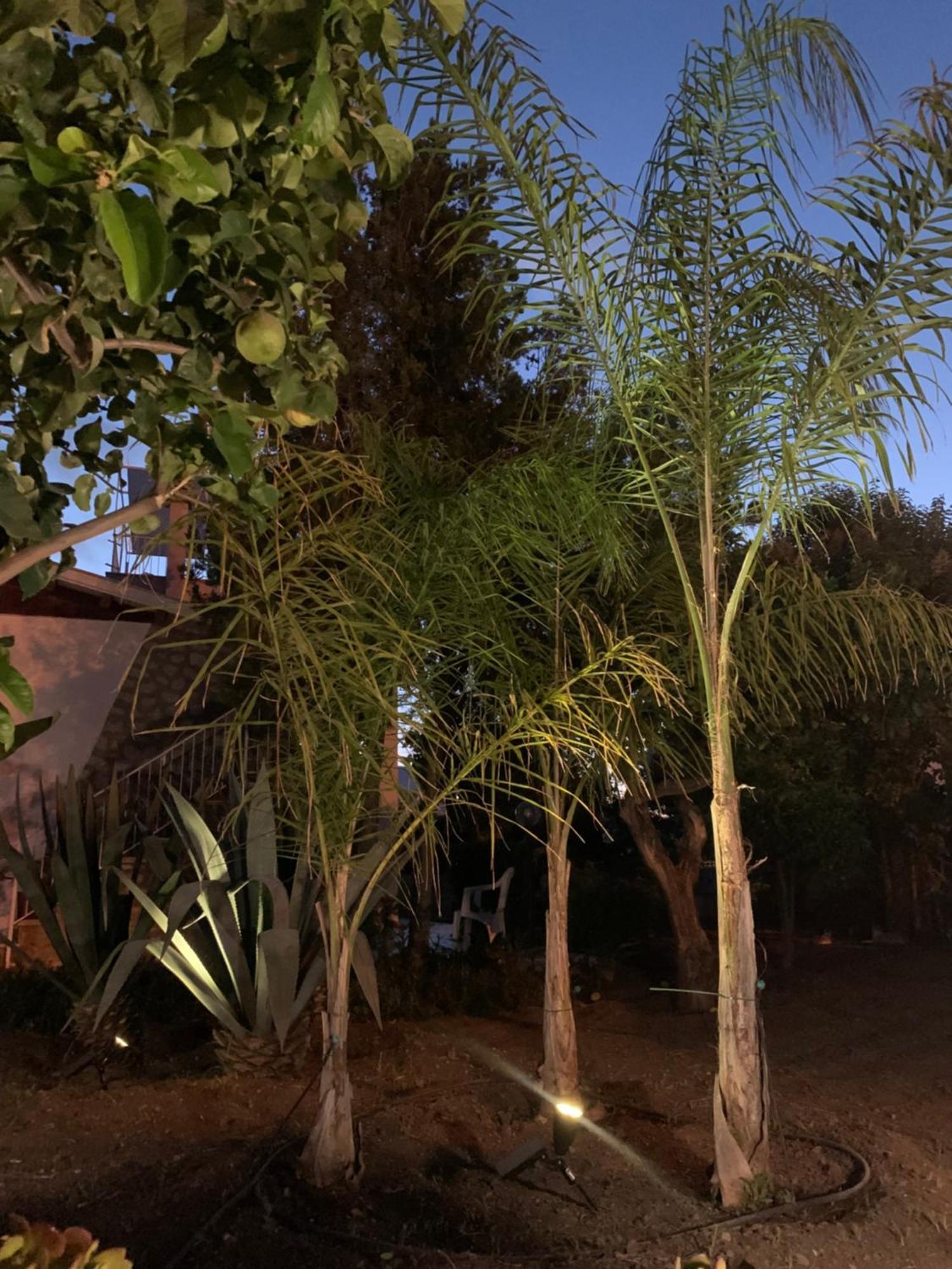 Casa Vacanze Astori Trabia Buitenkant foto