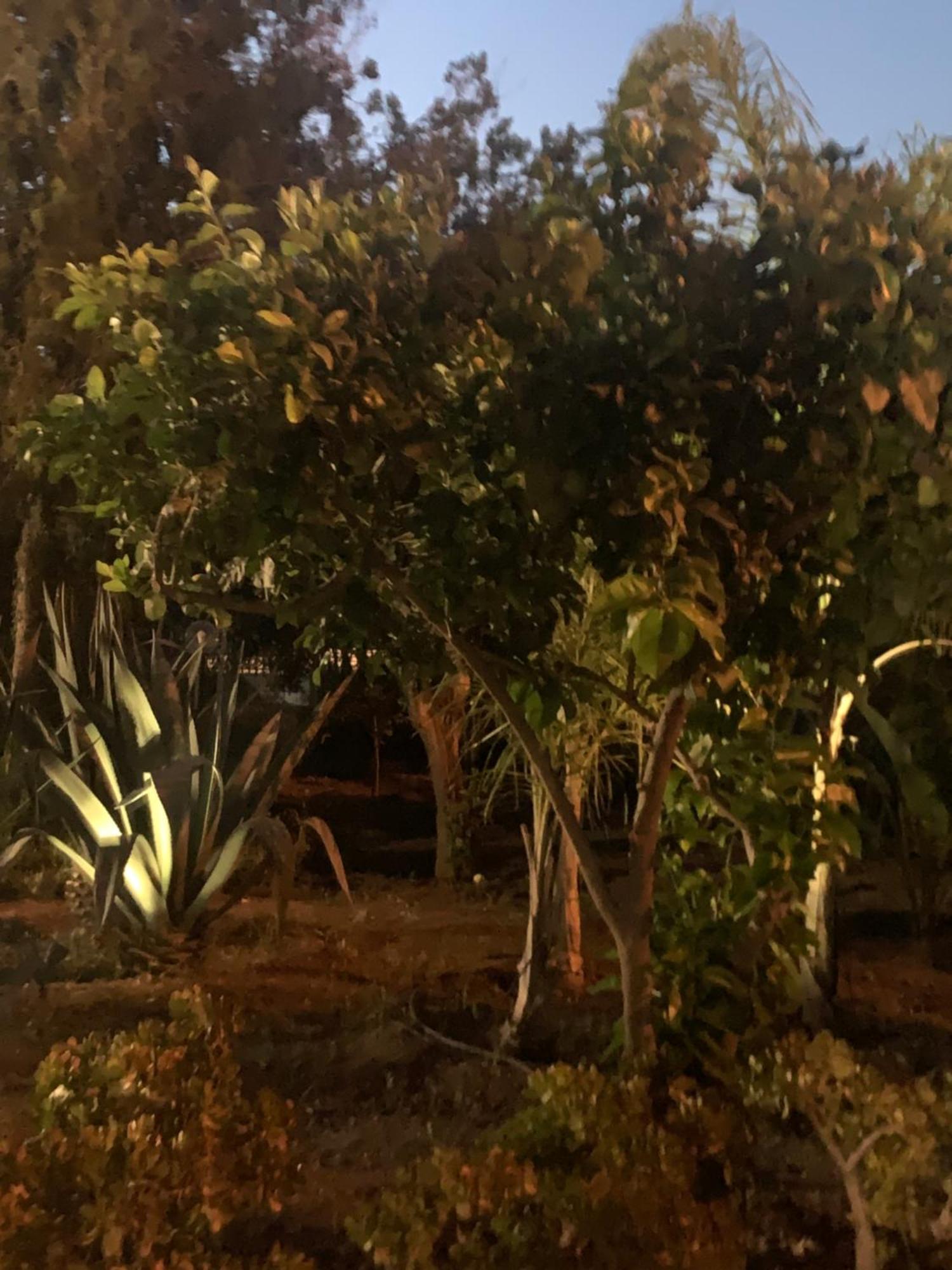 Casa Vacanze Astori Trabia Buitenkant foto